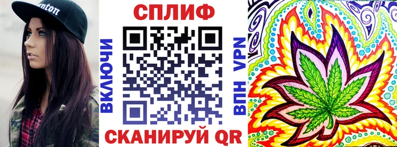 Что такое Старая Русса АМФ 