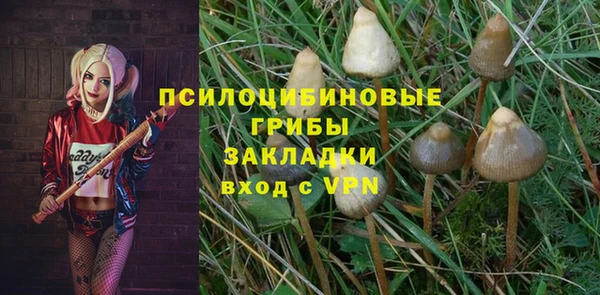 меф Алексин