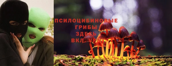 метадон Осташков