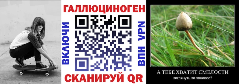 Галлюциногенные грибы Magic Shrooms  Старая Русса 