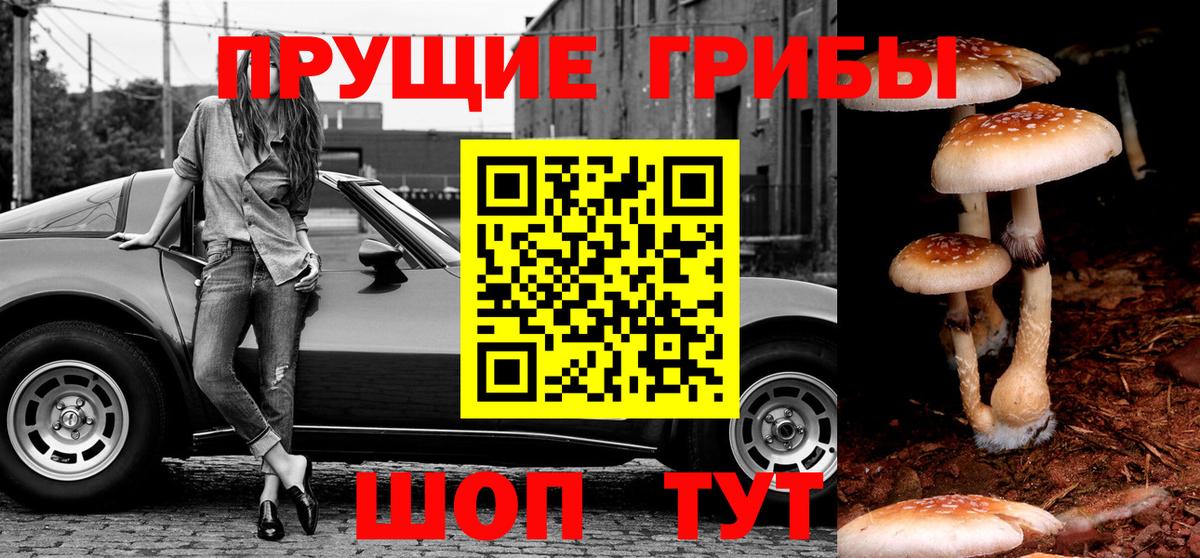 Псилоцибиновые грибы ЛСД  Галлюциногенные грибы Cubensis  Старая Русса  Вход с VPN 