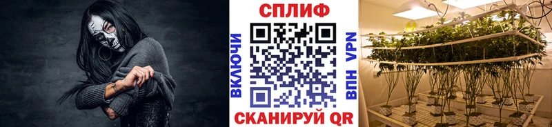 Марихуана AK-47  Старая Русса 